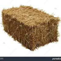 فروش یونجه