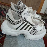 کتونی و نیم بوت و کفش مجلسی جهت فروش یا معاوضه|کیف، کفش، کمربند|فردیس, شهرک ارم|دیوار