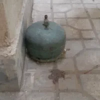 پیک نیک