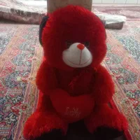 شاسخین سایز بزرگ