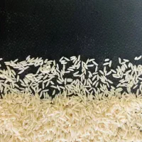 عمده فروشی مواد غذایی|عمده‌فروشی|مشهد, کارمندان دوم|دیوار