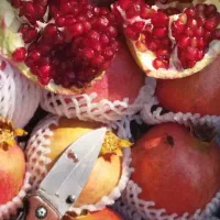 انار درجه یک تا ربی موجوده