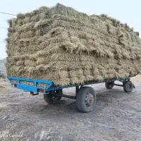 پرس کاه شالی