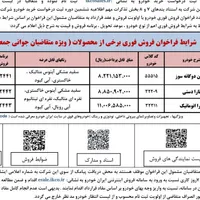 تارا وی 4 ال ایکس، مدل ۱۴۰۴