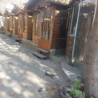 استخدام نیرو در رستوران