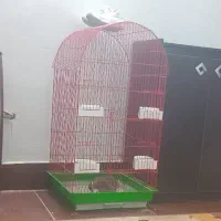 قفس خالی واسه فروش