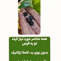 قرص کود ارگانیک|گل و گیاه طبیعی|زنجان, |دیوار