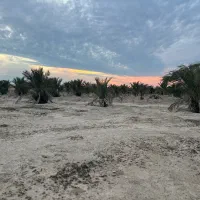 استخدام کارگر