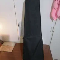 ویولن الکتریک فیش درشت|ویولن|اصفهان, بوزان|دیوار