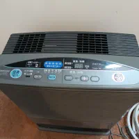 بخاری ژاپنی