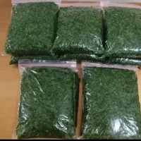 سبزی ارگانیک نیشابور