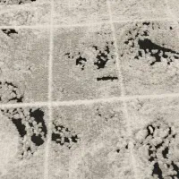 فرش کناره