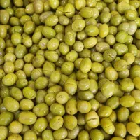 فروشنده سوغات سرا شب کار
