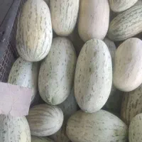 خربزه و هندوانه