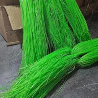 جارو شهرداری سبز پلاستیکی بستدار|لوازم نظافت|مشهد, طبرسی شمالی|دیوار