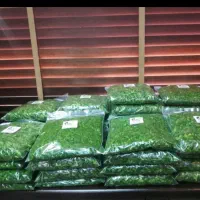 خورد شده و سبزی