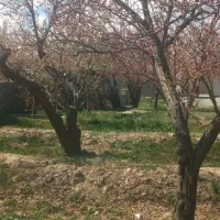 باغچه-چهاردیواری-سندتکبرگ-انشعابات-کامل-شهریار
