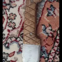 کبوتر اگهی رو بخون|پرنده|الشتر, |دیوار