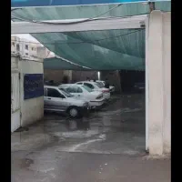 نیرو کارواش