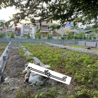 280-متر-زمین-قابل-ساخت-پلاک-یک-جنگل