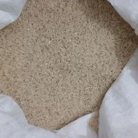 برنج طارم محصول امسال.به شرط پخت و پز