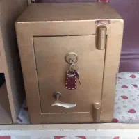 گاو صندوق سالم سالم