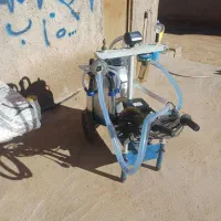 یک عدد شیردوش