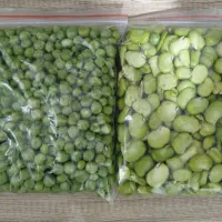 باقالی سبز کاشان خوشپخت پاک شده و تمیز