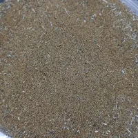 بذر یونجه سالم واعلا|گل و گیاه طبیعی|بکتاش, |دیوار