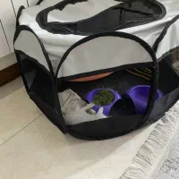 خرگوش مینی|موش و خرگوش|تهران, والفجر (افسریه)|دیوار