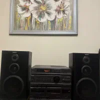 سیستم ضبط سونی خانگی