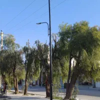 فروش انواع تیر و کابل و چراغ