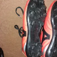 کفش|کیف، کفش، کمربند|کنگاور, |دیوار