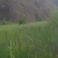 زمین ۱۳۵۶ متر با سند تک‌برگ - دارای فنس و درب