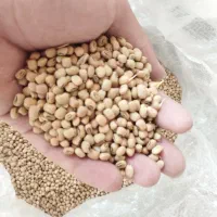 لوبیا ریزه|خوردنی و آشامیدنی|دره شهر, |دیوار