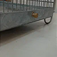 سهره چهار گل قفس|پرنده|مشهد, سراب|دیوار