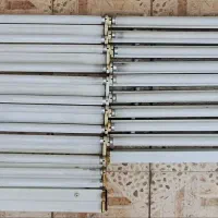 ۱۵ عدد مهتابی دوقلو و تک صحیح و سالم سالم