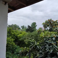 اجاره سوییت جنگلی نزدیک دریاـ پارکینگ|اجارهٔ کوتاهمدت آپارتمان و سوئیت|چالوس, |دیوار