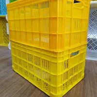 سبد ۲۰ کیلویی کشمش و زیتون|عمدهفروشی|پاکدشت, پاکدشت (مامازند)|دیوار