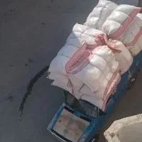 کاه .علوفه .یونجه