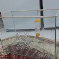 آکواریوم سالم