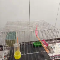 قفس پرنده ۳۵×۵۰