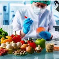 مهندس صنایع غذایی مسلط به صنعت غذا(سس مهرپذیر)