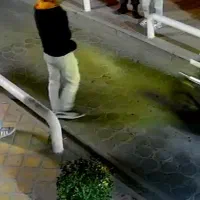 دوستان گل|فعالیت داوطلبانه تحقیقاتی|اصفهان, شمس آباد|دیوار