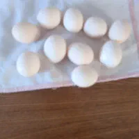 تخم کوشین بلک متلد90درصد