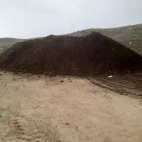 کودحیوانی|خدمات باغبانی و درختکاری|محلات, |دیوار