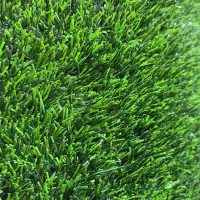 پخش انواع چمن ،فنس برگی رشته ای گرینوال سنگ|عمده‌فروشی|رشت, امین الضرب|دیوار