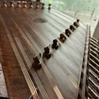 سنتور سه مهر ویژه موسوی