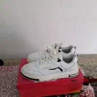 کتونی مردانه|کیف، کفش، کمربند|الشتر, |دیوار