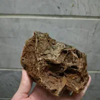 سنگ آکواریوم